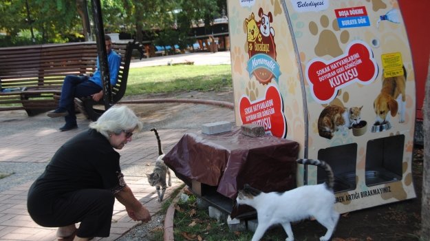 plastik-ve-cam-atiklar-sokak-hayvanlarina-mama-oluyor