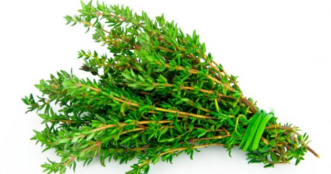 ilac-ureticileri-turk-kekigini-kullanmak-zorunda