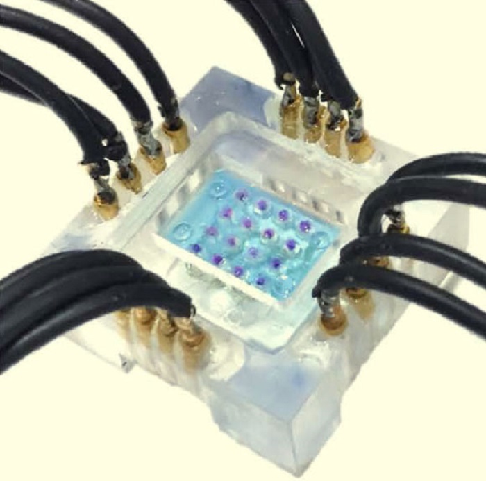 Araştırmacılar Sentetik ve Yumuşak Retina Dokusunu Buldular