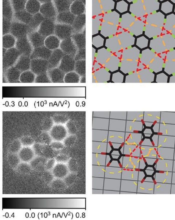 Halojen Bağları, Molekülleri Rüzgar Gülü Şeklinde Birleştiriyor